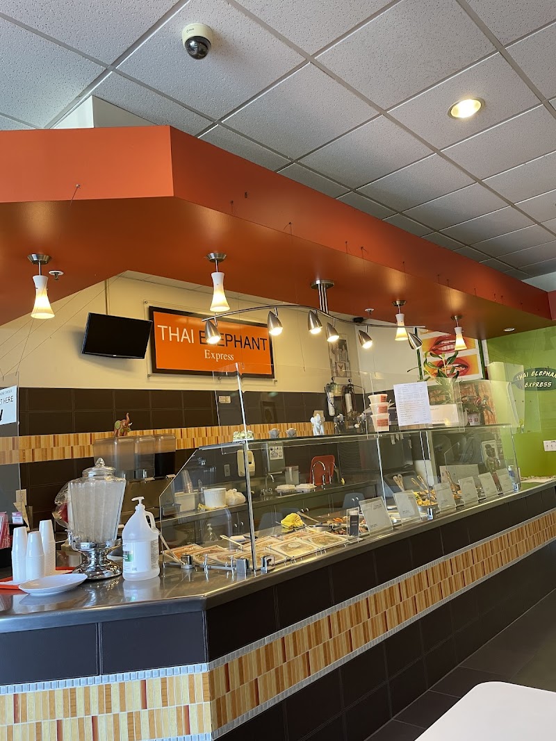 Thai Elephant Express food