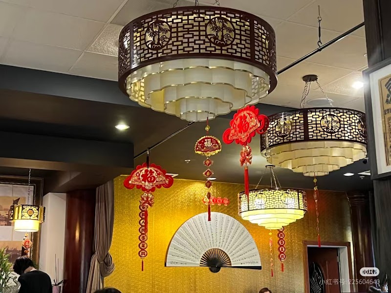 Shanghai Bun Dynasty