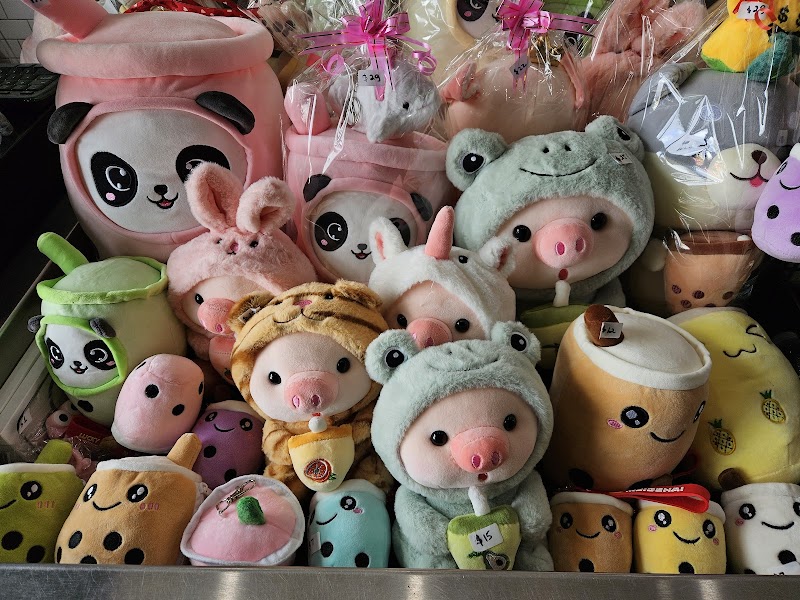 Jasmine Kocha interior