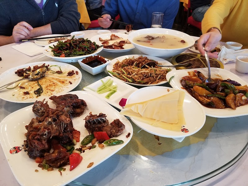 Taste Good Beijing Cuisine—Milpitas food